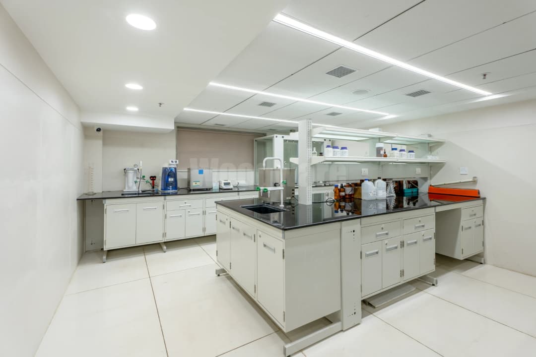 Sarex Overseas Corporate Officeby woodware